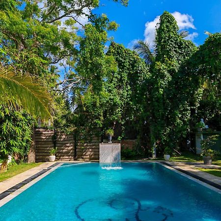 טנגלה Villa Lyvie Ayurvedic Hotel מראה חיצוני תמונה