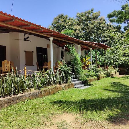 טנגלה Villa Lyvie Ayurvedic Hotel מראה חיצוני תמונה